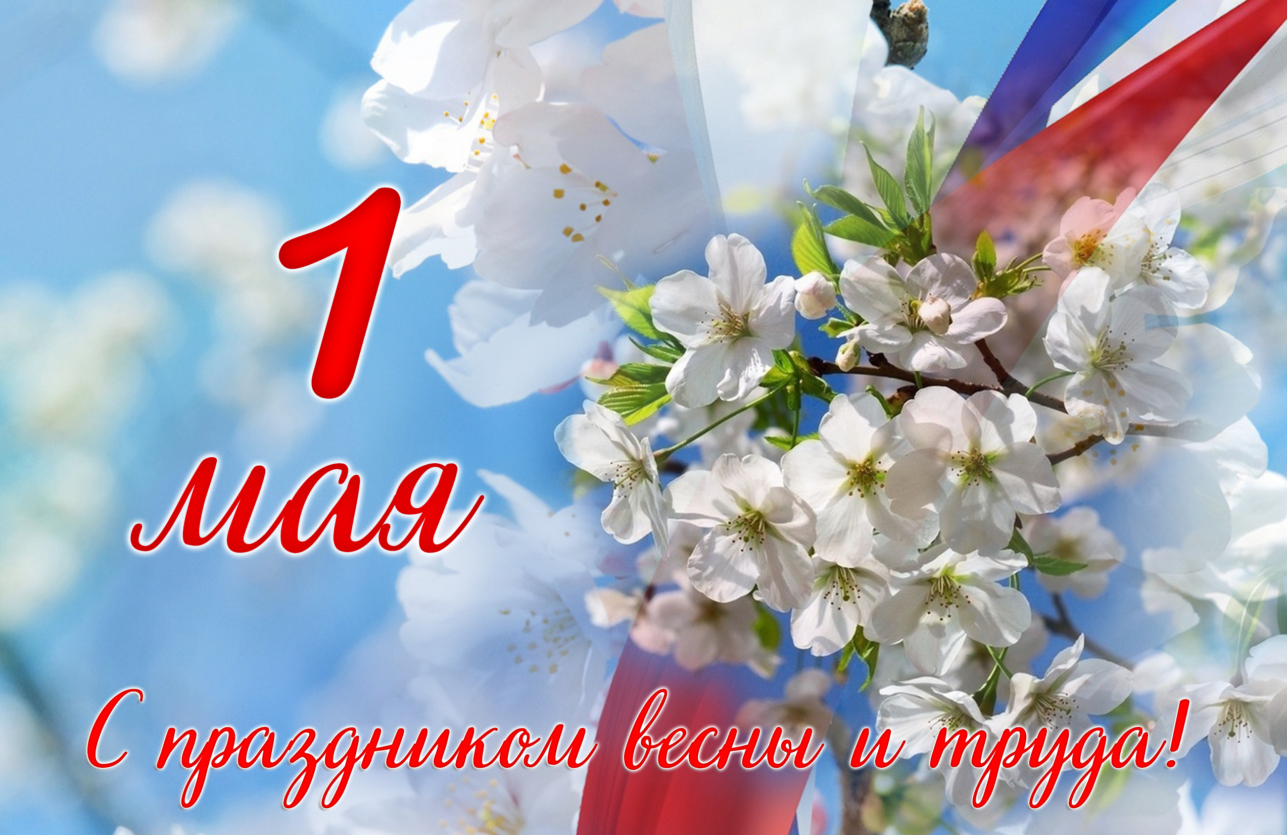 С первомаем!.