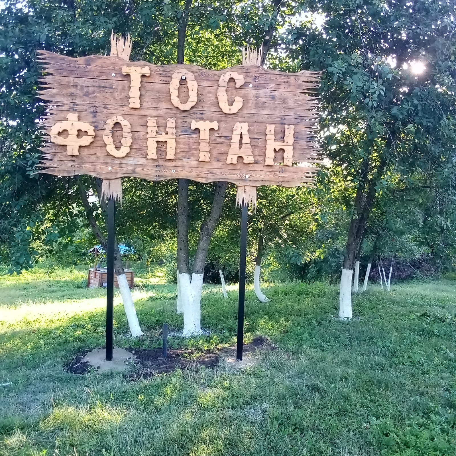 ТОС в действии.